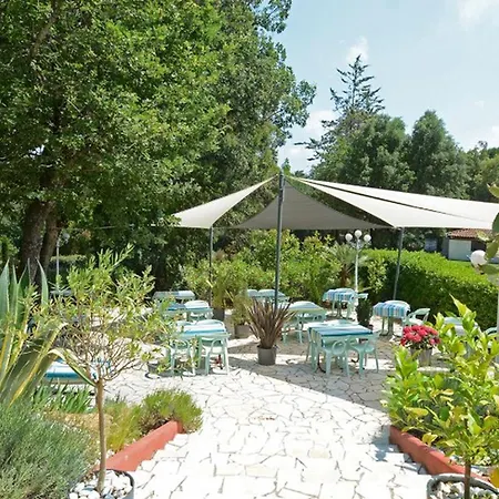 Camping Mobil - Terrasse A - Api-1-52-1697