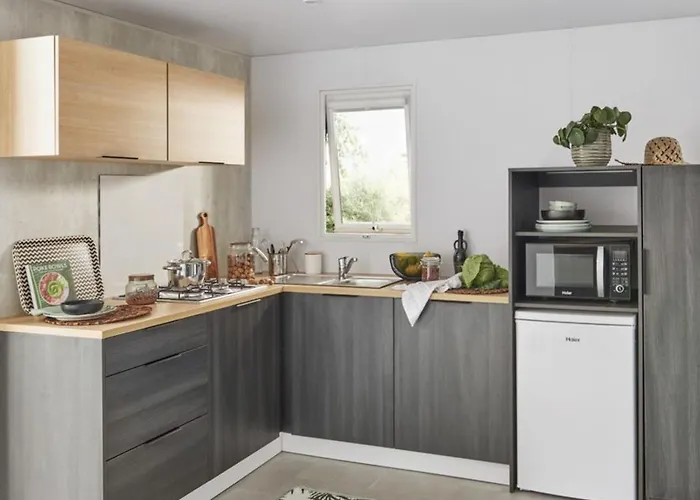 Mobil - Terrasse A - Api-1-52-1697 Camping *