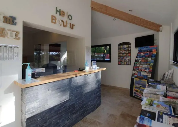 Camping Mobil - Terrasse A - Api-1-52-1697 *